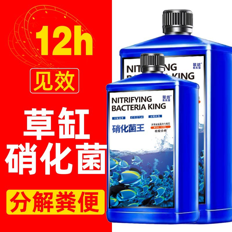 硝化细菌鱼缸专用养鱼净化水质净水剂稳定剂消化分解鱼便免换水