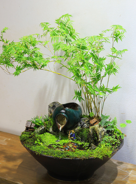 桌面流水生态微景观鱼缸