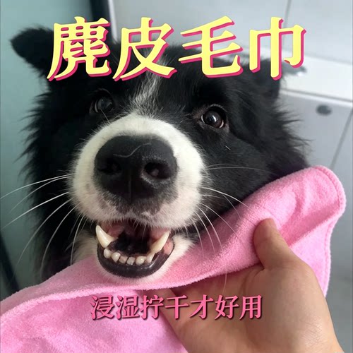 宠物麂皮吸水速干毛巾
