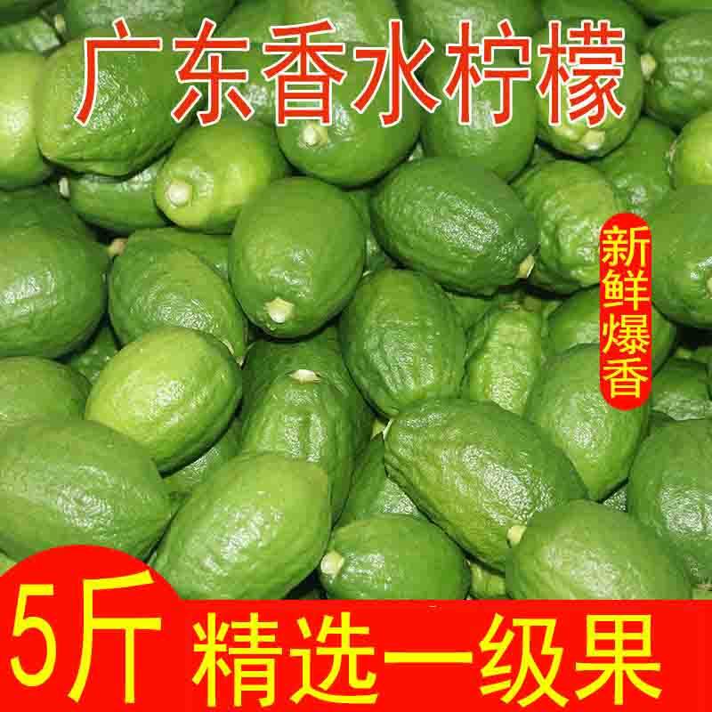 广东香水柠檬新鲜青柠檬无籽一级果应当季水果商用奶茶店专用批发