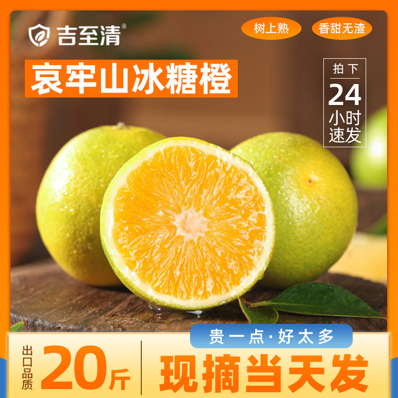 正宗云南哀牢山冰糖橙新鲜大水果彩箱冻橙手剥褚冠当季现摘榨汁甜,水产肉类/新鲜蔬果/熟食,橙,淘宝优惠券,粉丝福利购,淘宝优惠卷