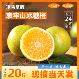 正宗云南哀牢山冰糖橙新鲜大水果彩箱冻橙手剥褚冠当季现摘榨汁甜