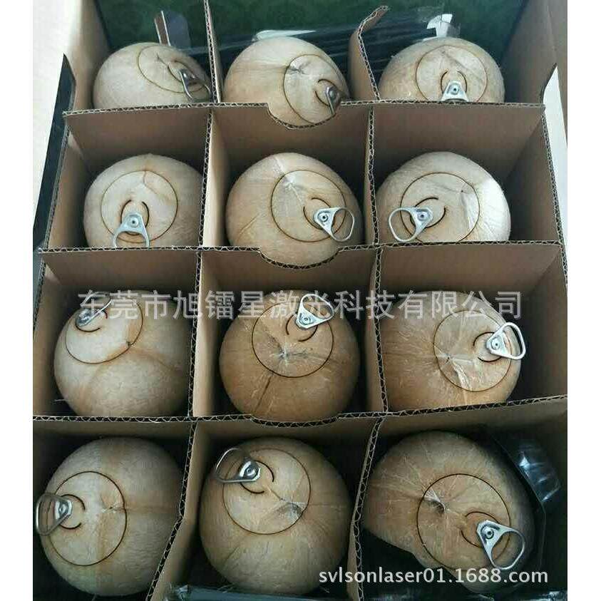 供应泰国 台湾云南南部 广州椰子画线开盖装拉环 水果激光切割机