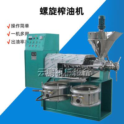 全自动油茶果榨油机棕榈果油压榨机四川青江大型冷热两用炸油机