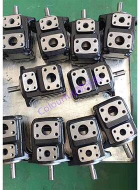 T7DS-B35,T7DS-B38,T7DS-B42价格 注塑机油泵 叶片泵