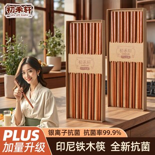 精选新款铁木筷子家用高档抗菌防霉天然无漆原木筷耐高温实木一人