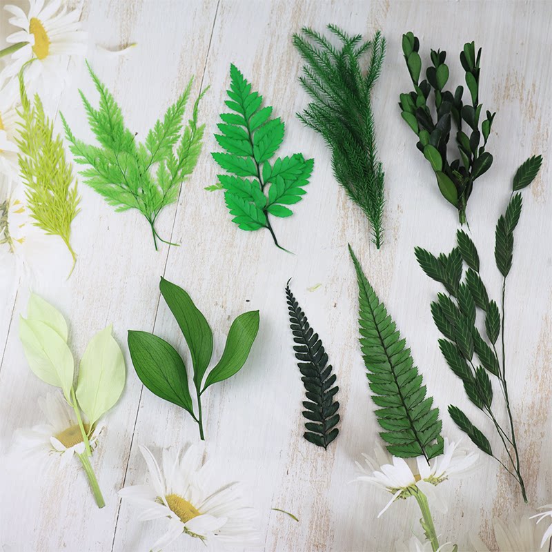 绿色系永生花植物叶子diy微景娃娃屋造景满天星戒指绣球车挂材料