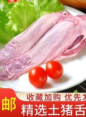 顺丰 6只新鲜猪舌头整只猪口条带根卤菜商用食材生猪肉下酒菜2只