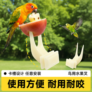 鹦鹉水果叉鸟用固定鸟笼喂食器卡扣塑料虎皮玄风小太阳配件大全
