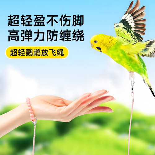鹦鹉放飞绳外出牵引绳虎皮超轻无感牡丹不伤脚小太阳脚环遛鸟神器