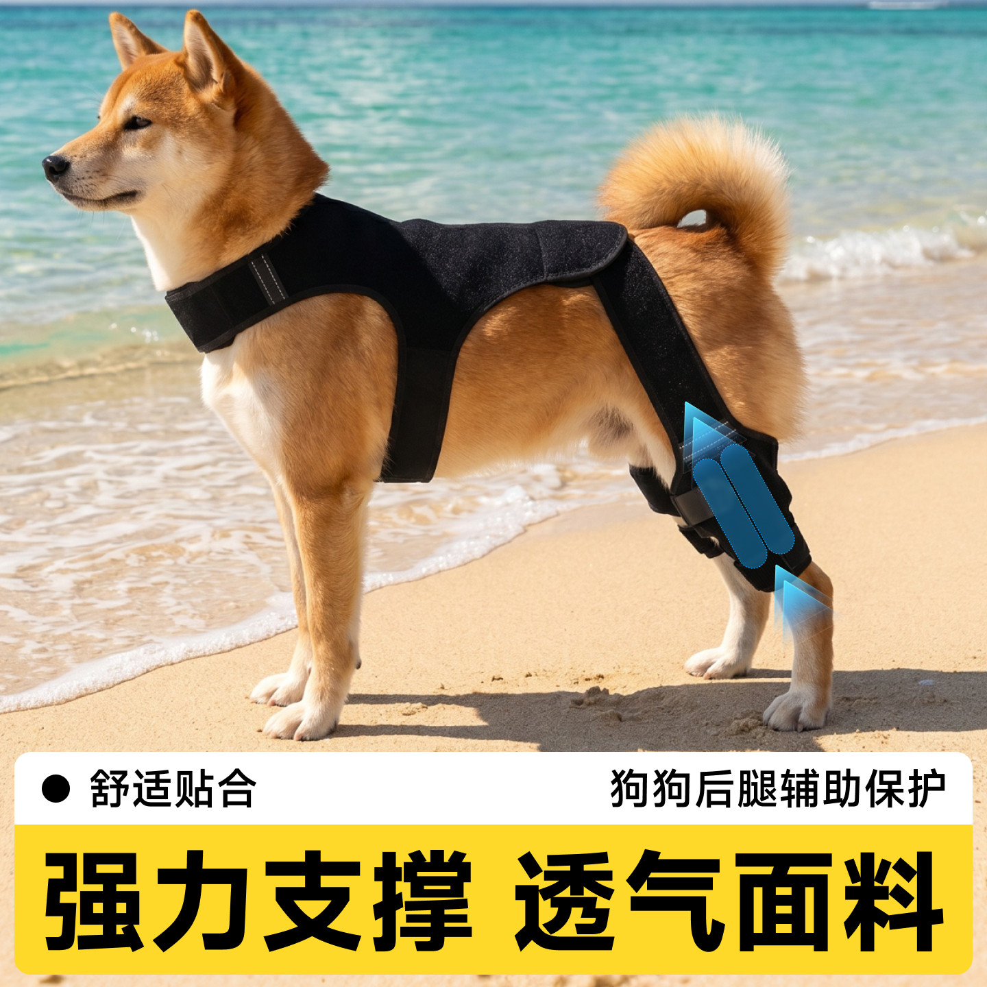 狗狗髌骨脱位固定带狗腿骨折十字韧带护具中小型犬关节术后保护带