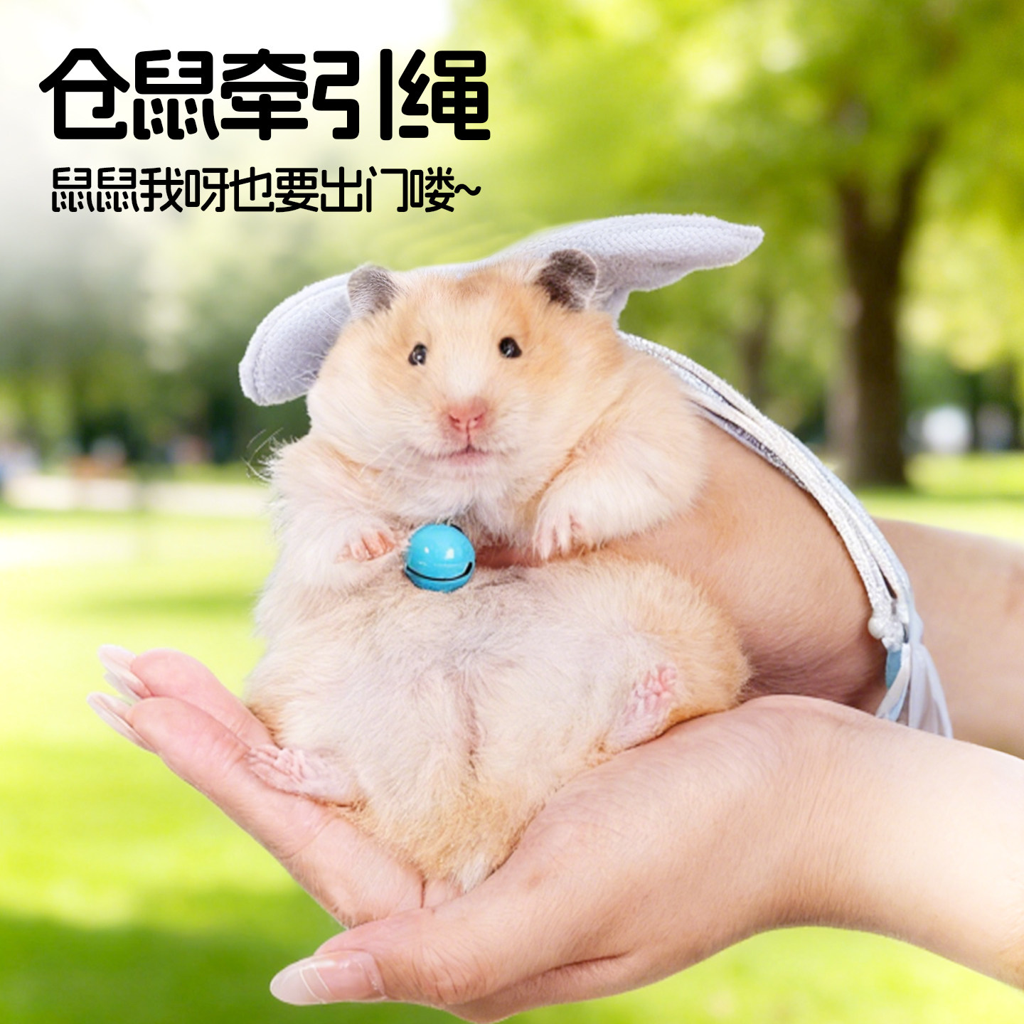 仓鼠牵引绳金丝熊荷兰猪外出防挣脱防咬绳子可爱风背心式遛鼠神器