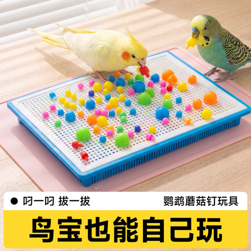 鹦鹉蘑菇钉板玩具觅食互动解闷