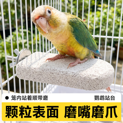 鹦鹉专用磨嘴石火山石站台啃咬