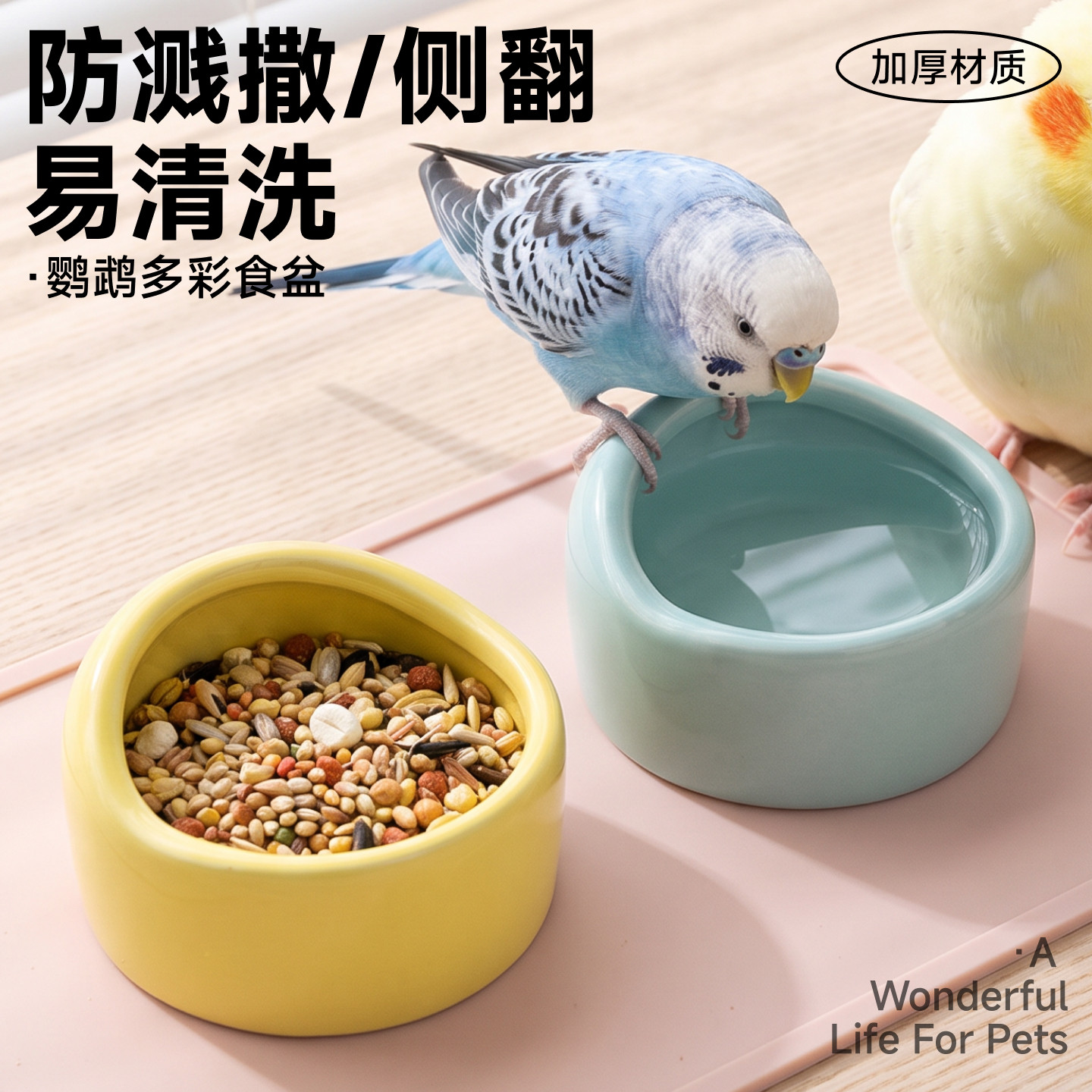鹦鹉食盆防撒陶瓷食碗防打翻喂鸟图片
