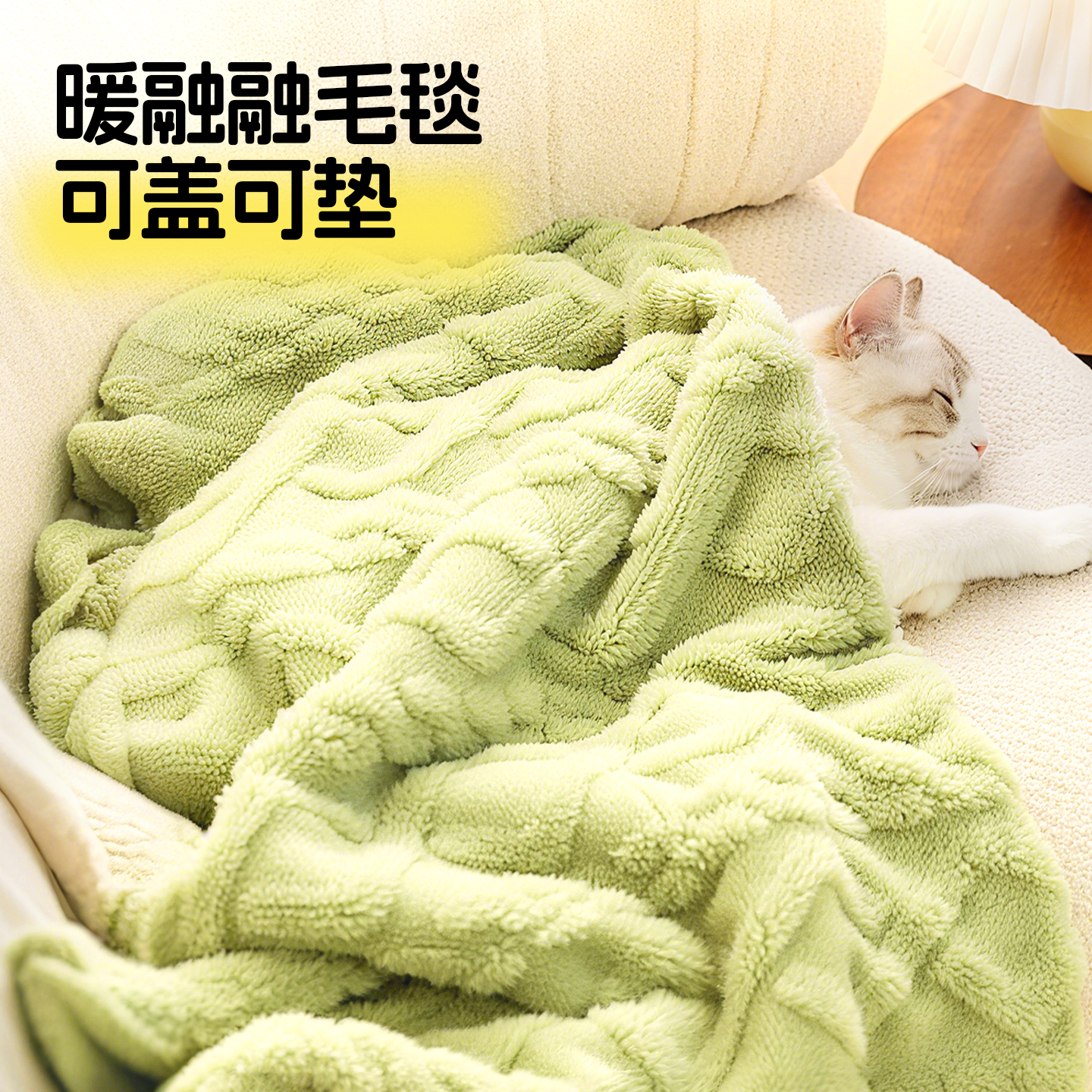 猫咪毯子宠物小毛毯珊瑚绒加厚不粘毛不掉毛睡觉包裹冬季保暖专用