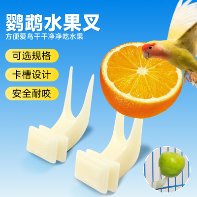 鸟用水果叉鹦鹉大号卡扣鸟笼塑料固定喂食器牡丹玄风虎皮小鸟用品