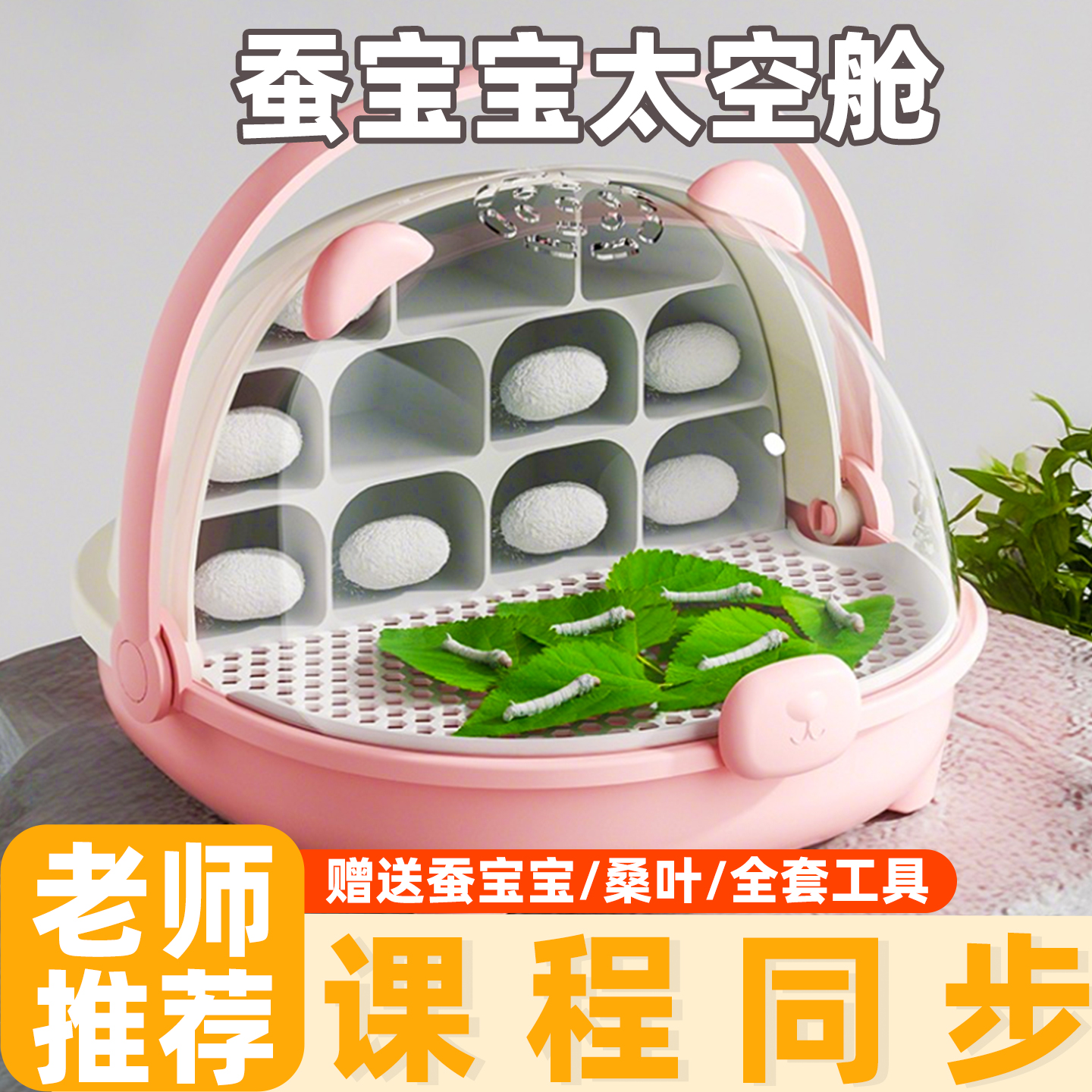 蚕宝宝学生养蚕套装蚕卵幼虫喂蚕种太空养育仓蚕子饲养盒新鲜桑叶