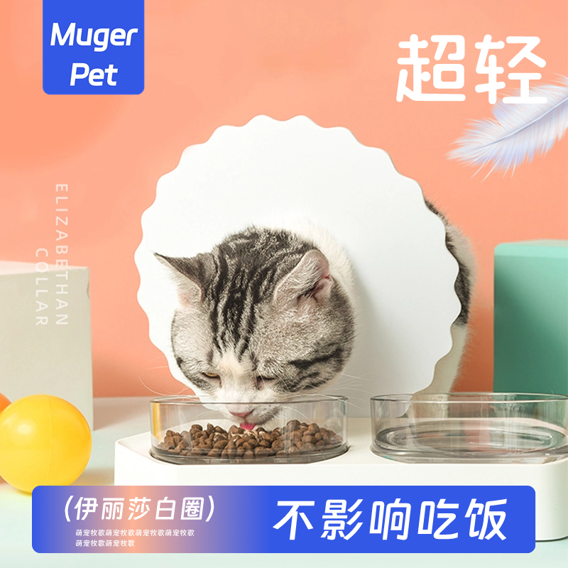 【超轻，不影响吃饭】幼猫耻辱圈