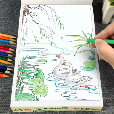 儿童线描临摹画册中国画白描本涂色画画本素描入门套装涂鸦绘国画