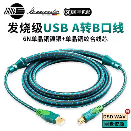 蟒蛇绿水鬼音频线A-B口数码解线