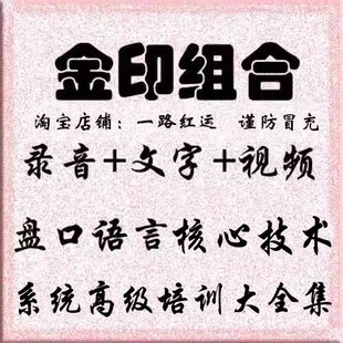 金印组合视频股票盘口语言高级视频培训班内训精华技术全集