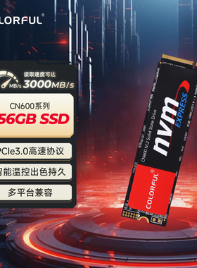 七彩虹m2nvme高速固态硬盘CN600笔记本256g1tb台式电脑装机pcie3