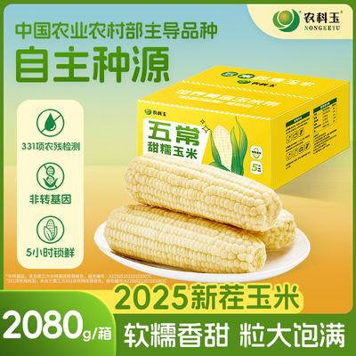 农科玉甜糯玉米真空装低脂即食早餐代餐五常东北苞米白糯玉米10根