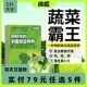 徐姬羽衣甘蓝粉冲饮健康膳食纤维健身小绿粉 满79任选5件