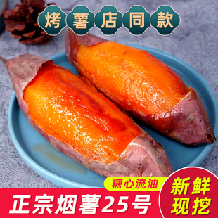 正宗山东烟薯25号蜜薯农家沙地新鲜糖心流油红薯烤地瓜软糯香甜