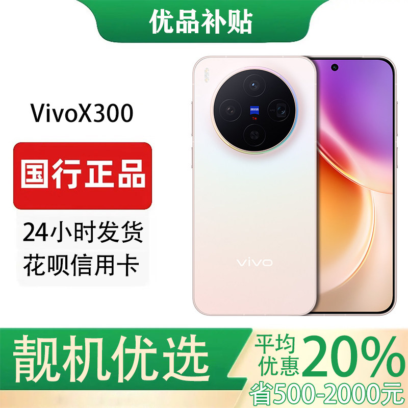 vivo X300