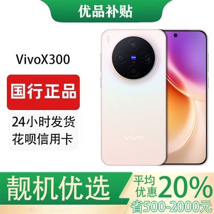 vivo X300