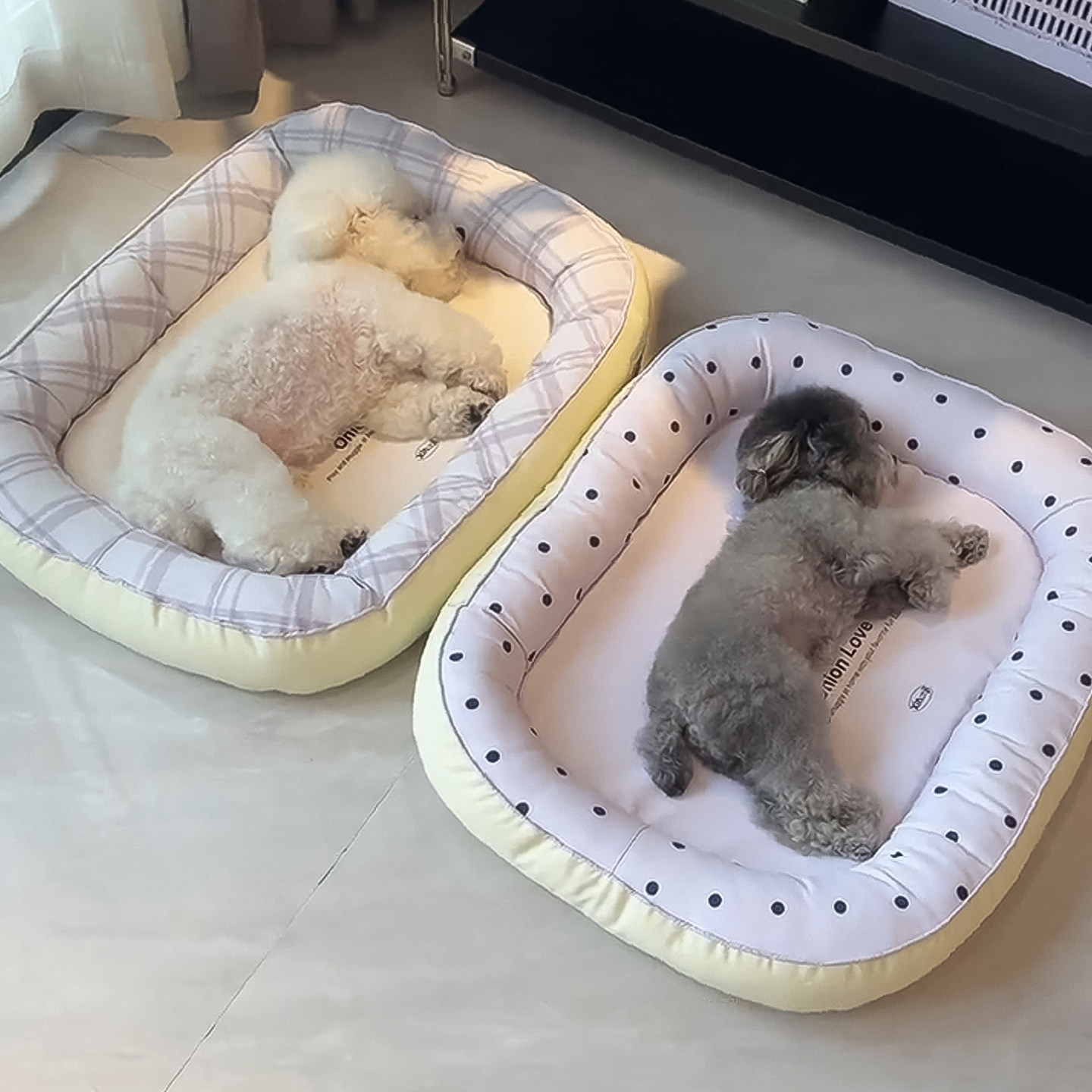狗狗垫子宠物冰垫凉席趴趴垫