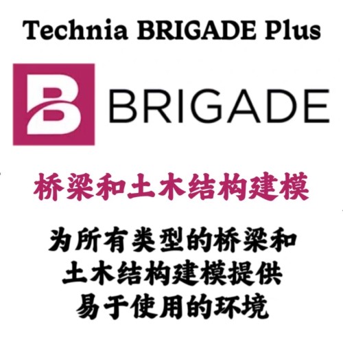 Technia BRIGADE Plus 2025桥梁土木结构建模设计软件远程安装