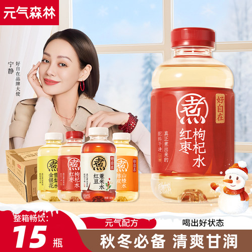 元气森林红枣枸杞水500ml*15瓶