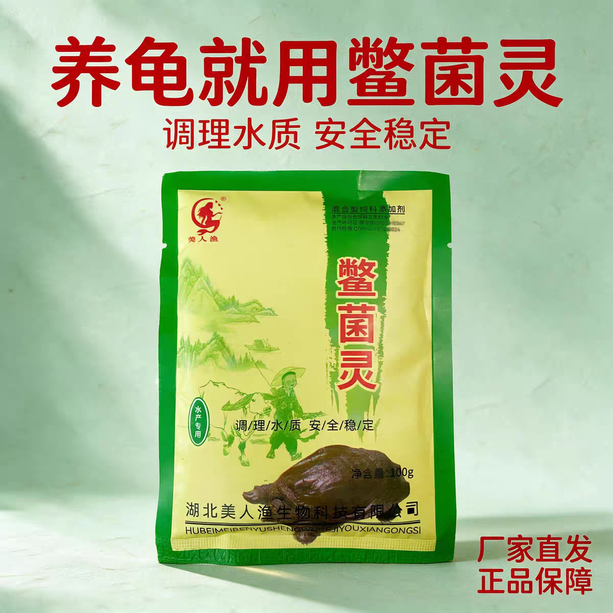 正湖北美人渔鳖菌灵龟鳖灵甲鱼乌龟调理水质改善体表养殖状态通用