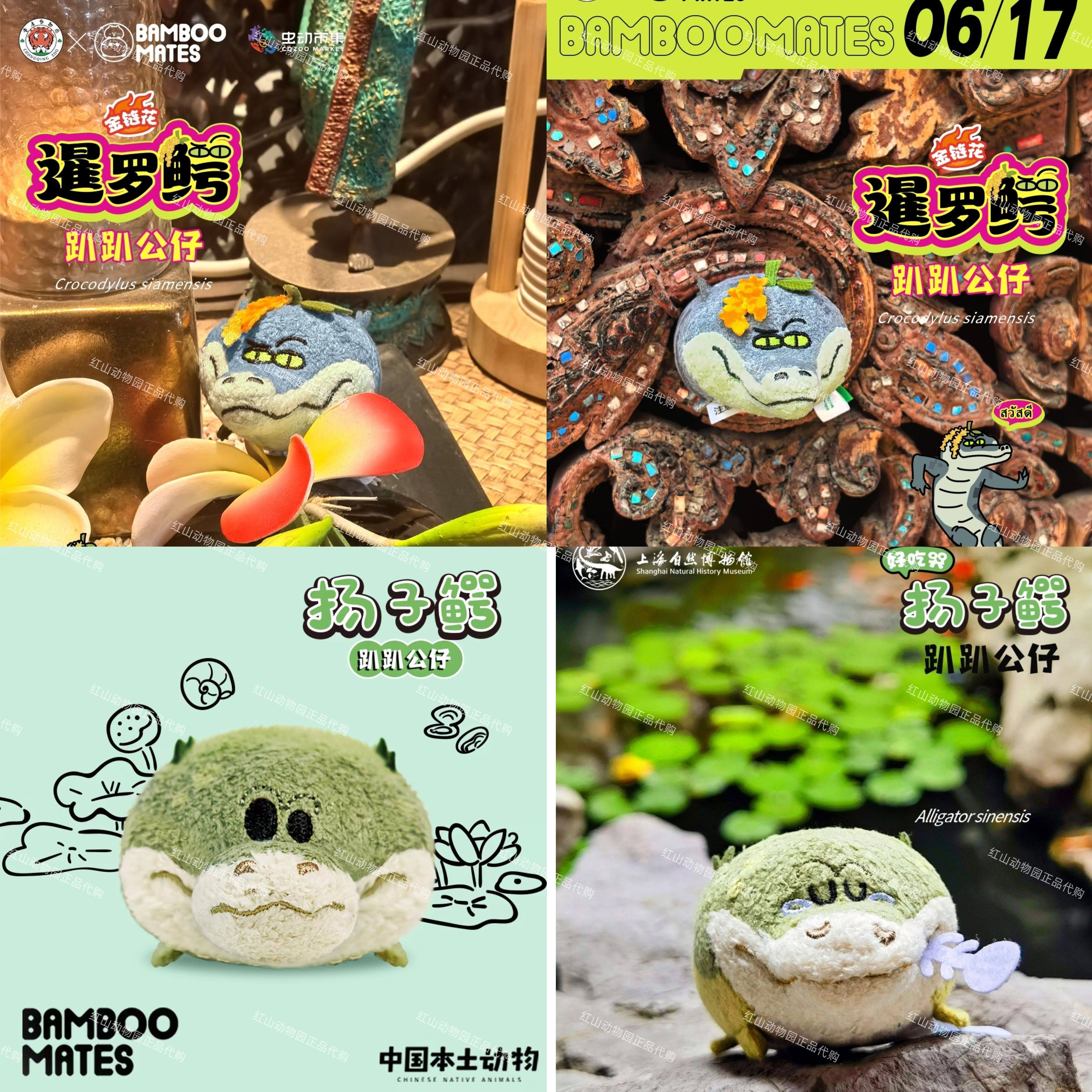 【鳄鱼】上海博物馆重庆动物园bamboomates联名暹罗鳄趴趴首发