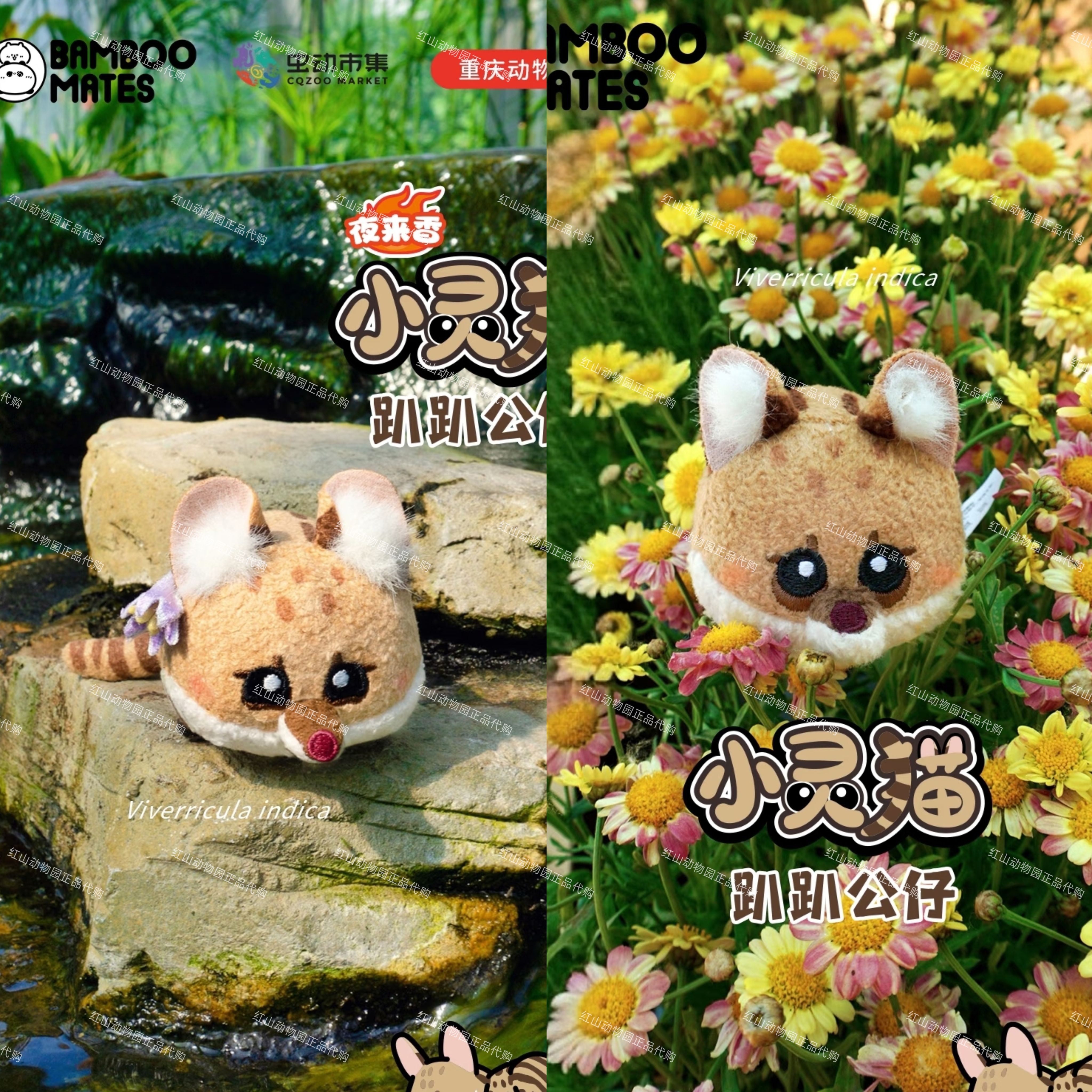 【小灵猫】bambomates联名重庆动物园小灵猫趴趴公仔毛绒可挑脸