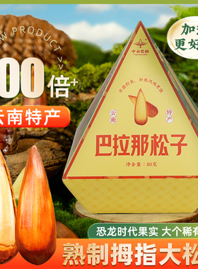 中原巴松原味熟食拇指大巴拉那松子开口王坚果零食云南特产送礼