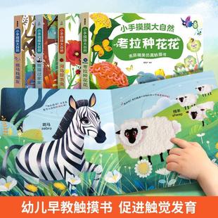 小兔比利亮丽精美触摸书 宝宝触摸书婴儿早教书本 4岁硬壳书籍 一两三岁绘本 儿童绘本0到3岁启蒙早教认知洞洞翻翻书机关推拉书1