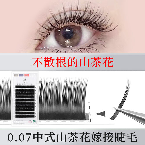 亚妮咔水貂绒漫画款山茶花不散根