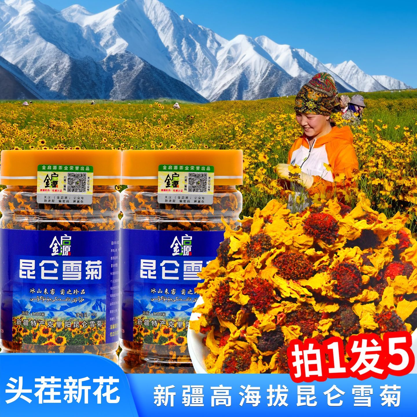 买1发5新疆昆仑雪菊金启源野生天山血菊花菊花茶养生茶新花高寒