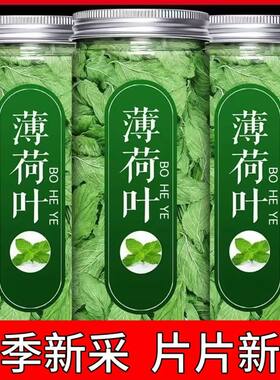 薄荷叶干可食用咀嚼泡水新鲜口嚼干嚼薄荷茶罐装博荷叶新鲜货