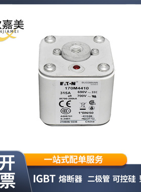 170M4410 170M4412 170M4416低压快速熔断器 标准封装 全新现货