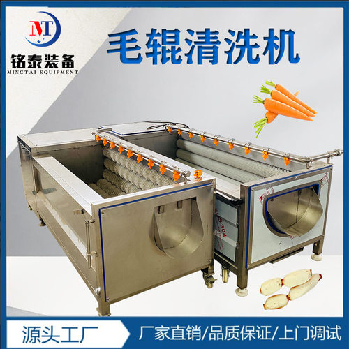 供应芋头白萝卜去皮清洗机 毛辊红薯土豆清洗去皮机 沙姜清洗去皮