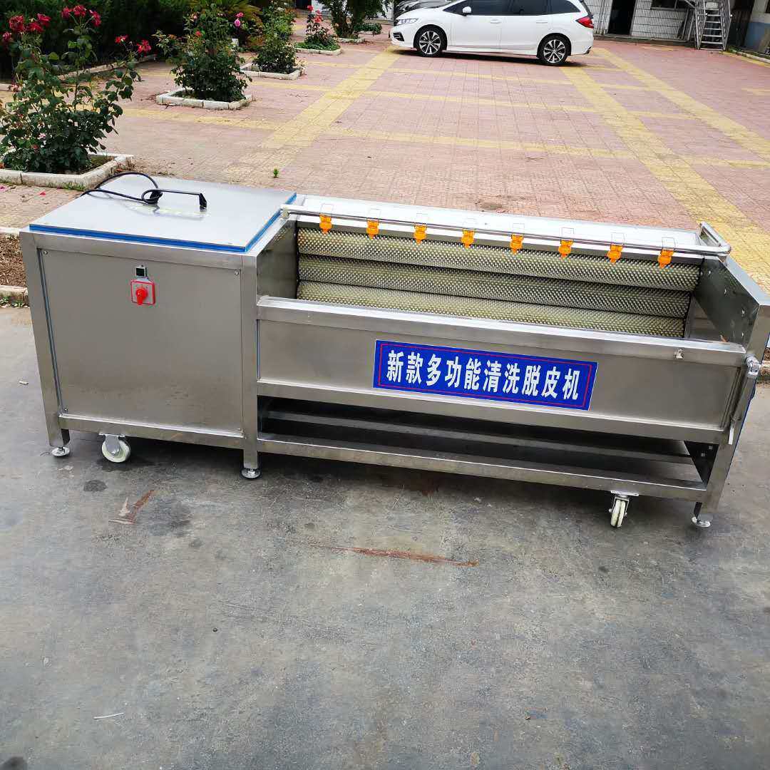 芋头鲜姜磨皮平行毛辊清洗机 蜜桃去毛清洗机牡蛎扇贝毛辊清洗机