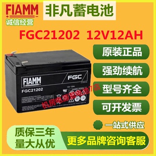 非凡蓄电池FGC21202 12V12AH通讯直流屏备用电池太阳能储能