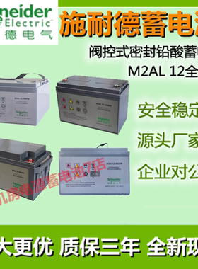 APC施耐德蓄电池M2AL12V100AH200AH65AH80AH38AH26AH18AH直流屏