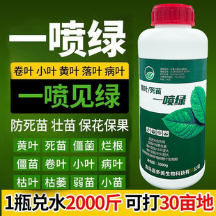 黄叶枯死变绿含氨基酸果树通用蔬菜花卉叶绿素微量元素叶面肥农用