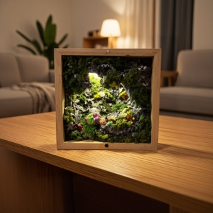 包邮 摆件礼物 迷你森林之旅桌面氛围灯 手工制作龙猫洞穴开启你